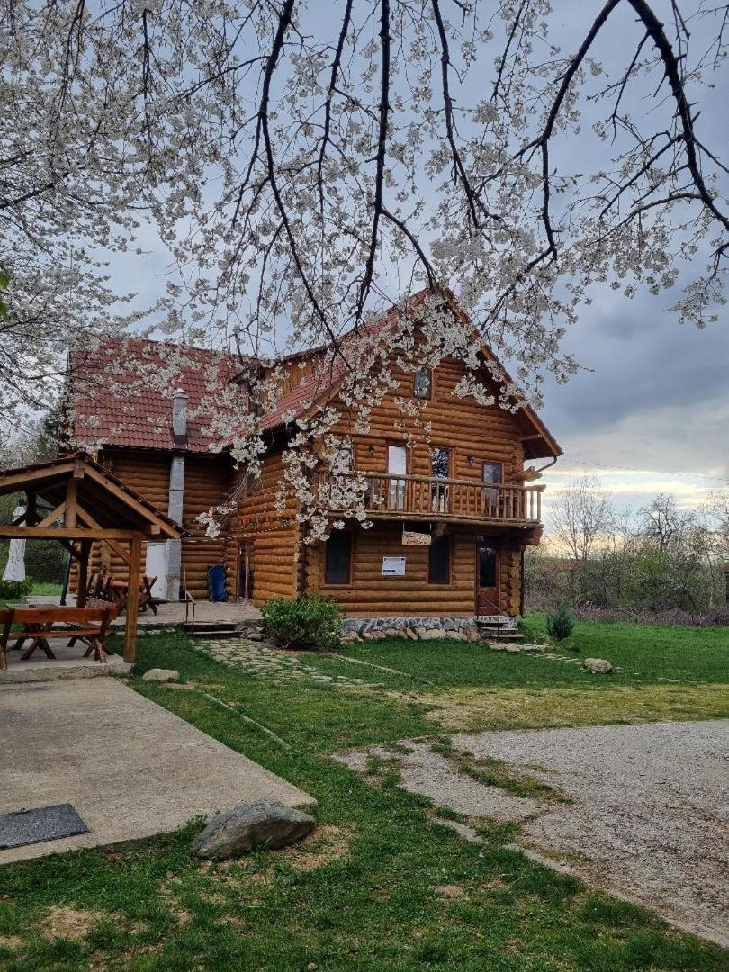 Valea Vistisoarei Villa Vistisoara ภายนอก รูปภาพ